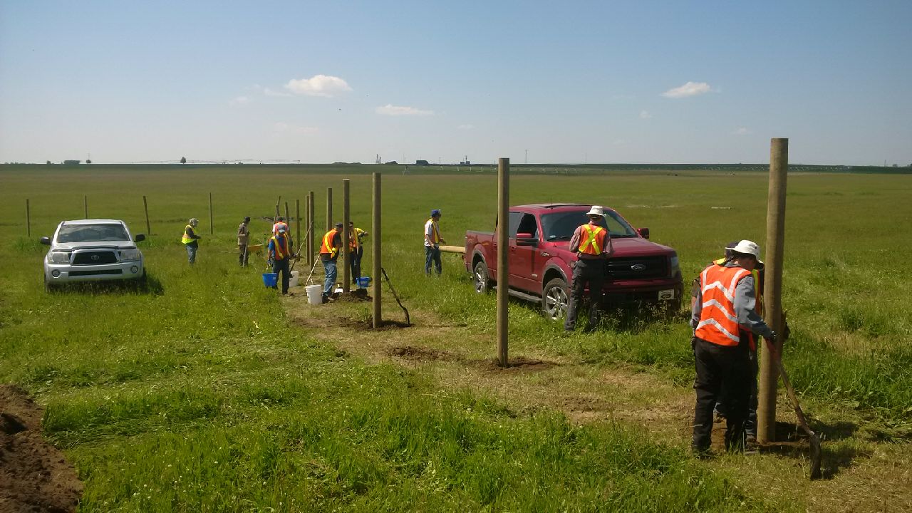 Many hands make light work! Day one workers !