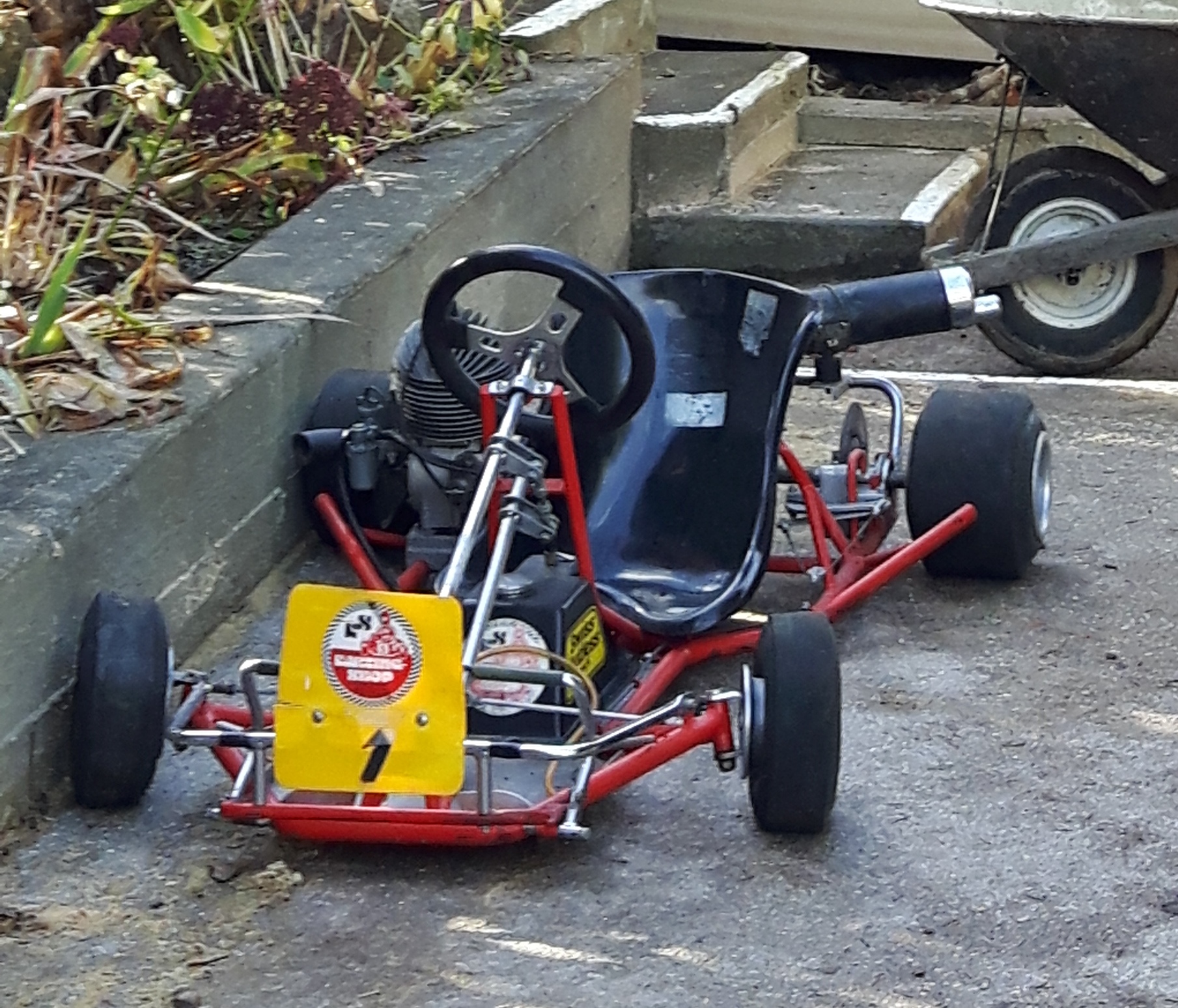 go cart.jpg