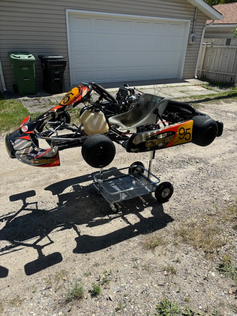 David Kart2.jpg