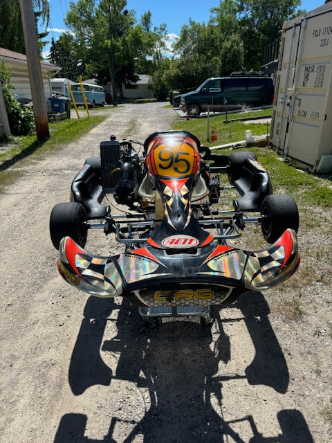 David Kart3.jpg